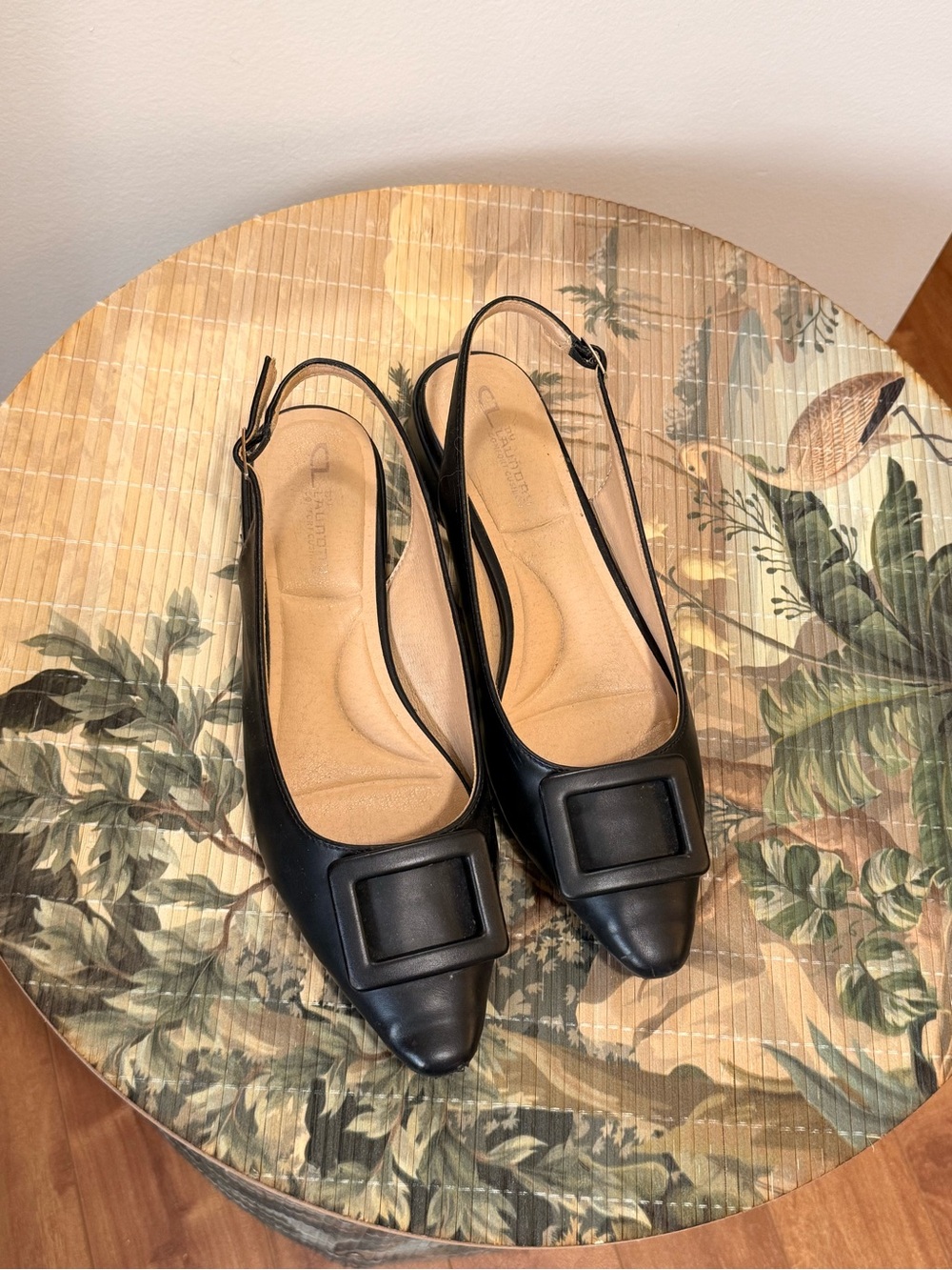 Black Slingback Pointed Toe Flats with Decorative Buckle